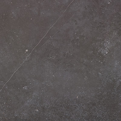 FOSSIL