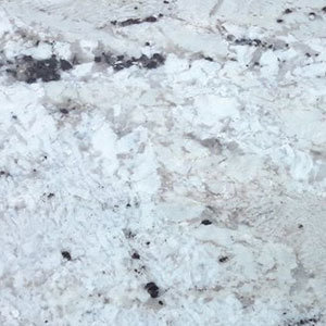 Fantastic White