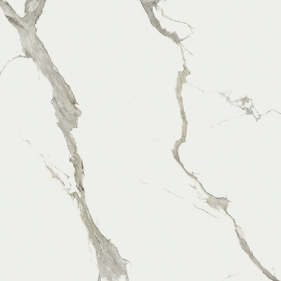 Staturio Superior Fullvein 3D