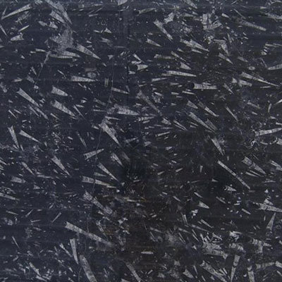Fossile Black