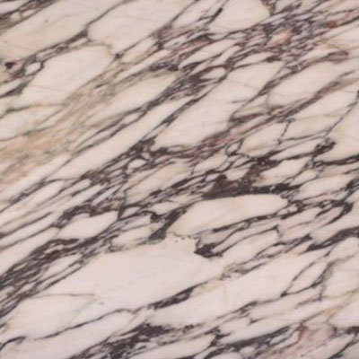 Blanc Calacatta Viola