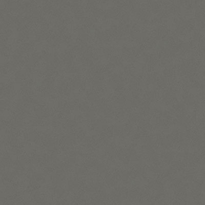 Gris Expo