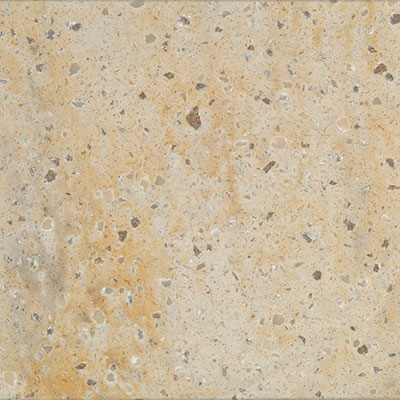 Burled Beach
