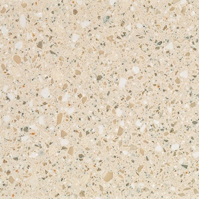 Fossil